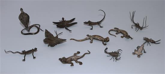 Indian silver insects, lizards etc
